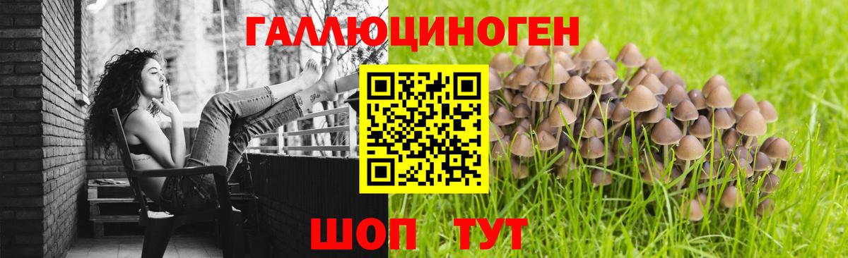 Нефтекумск  Псилоцибиновые грибы Magic Shrooms  Вход с VPN  Псилоцибиновые грибы Magic Shrooms 